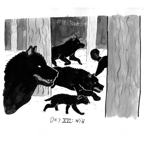 16. Wild