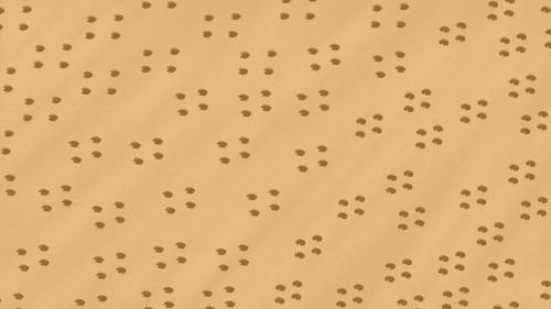 Scene 8 Background